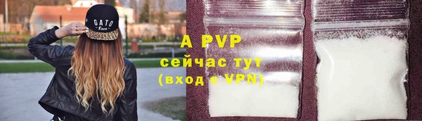 крисы Вязьма