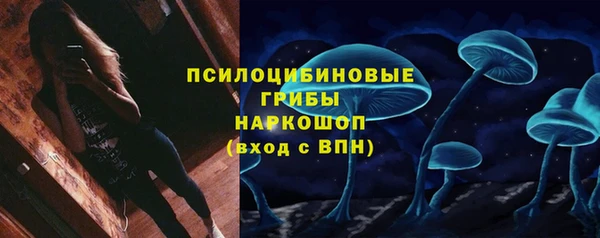 крисы Вязьма