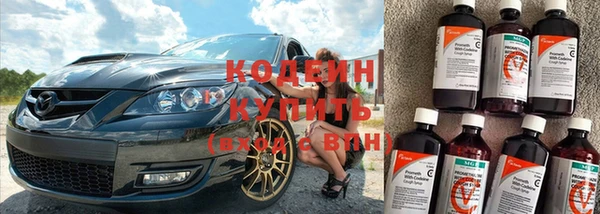 крисы Вязьма