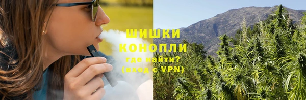 крисы Вязьма