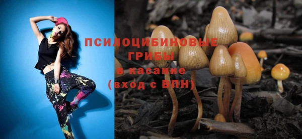 а пвп мука Вяземский